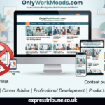 onlyworkmoods com