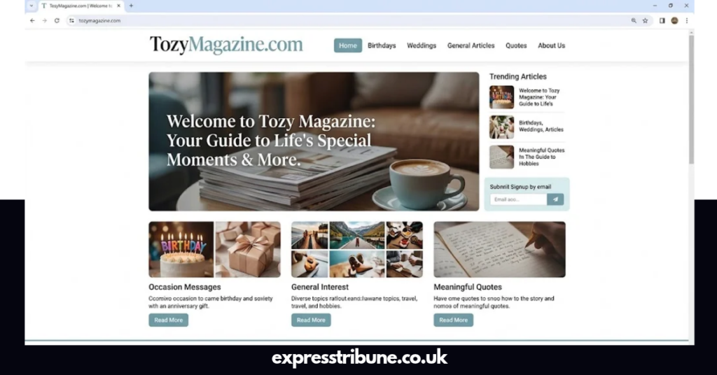 tozymagazine.com
